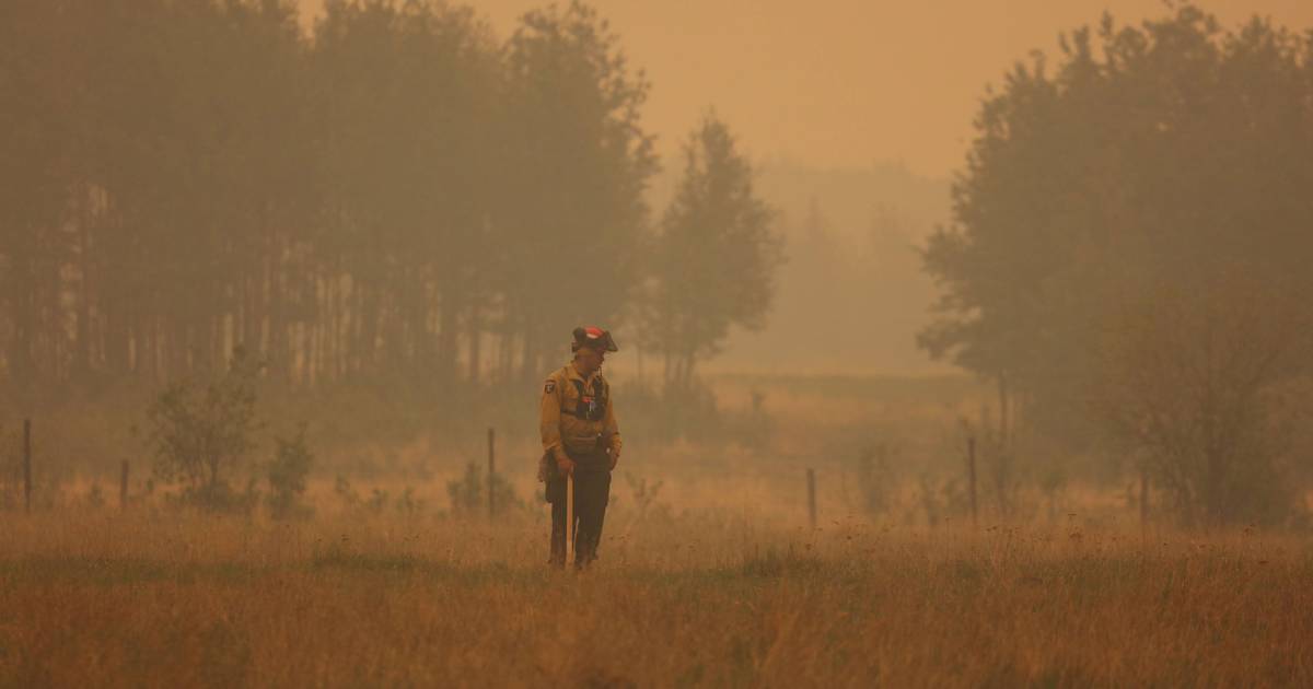 Incêndios: efeitos dos fogos do Canadá devem chegar a Portugal a partir de domingo