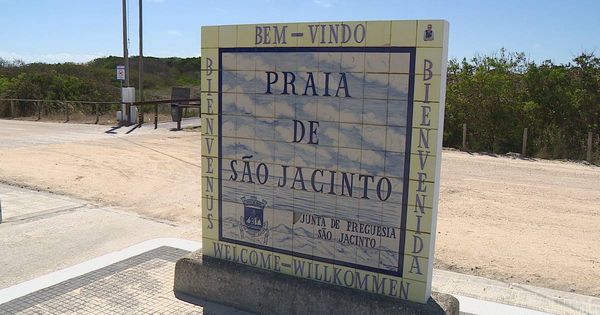 Grupos de cães vadios têm gerado receio em São Jacinto, Aveiro