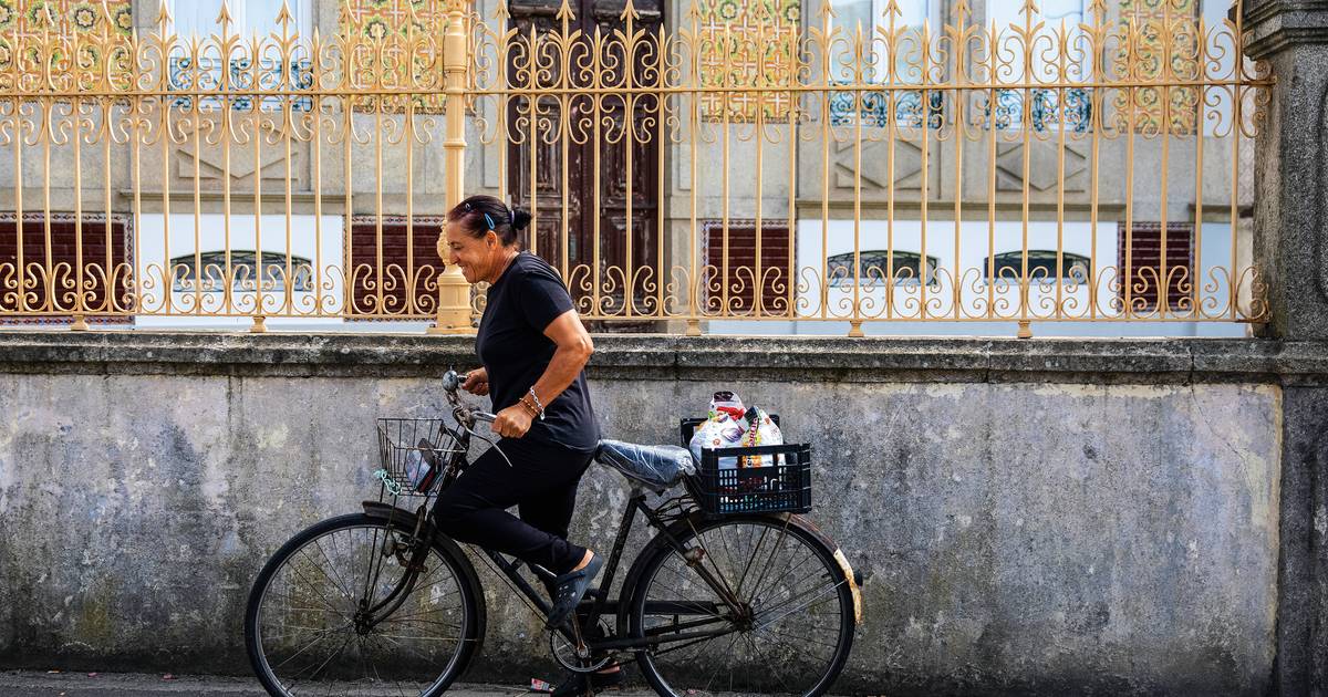 Alcina nunca conduziu, mas pedala desde “canalha” e não imagina a vida de outra forma: na Murtosa, a bicicleta é a rainha da estrada