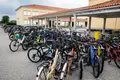 Já não é como era, mas a bicicleta ainda põe a Murtosa no topo