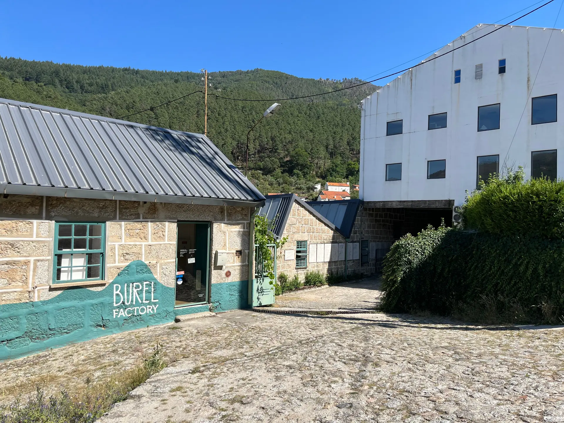 Lã da serra da Estrela vai ser usada para ornamentar as vestes papais na Jornada Mundial da Juventude