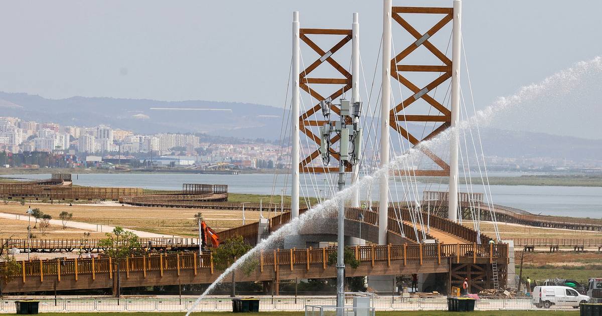 Provedor dos Animais de Lisboa propõe que ponte sobre rio Trancão se chame Noé