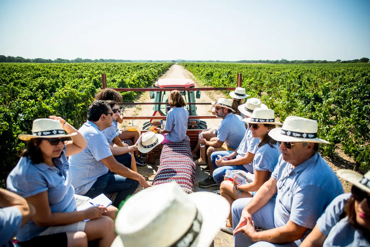 Vinhos do Tejo