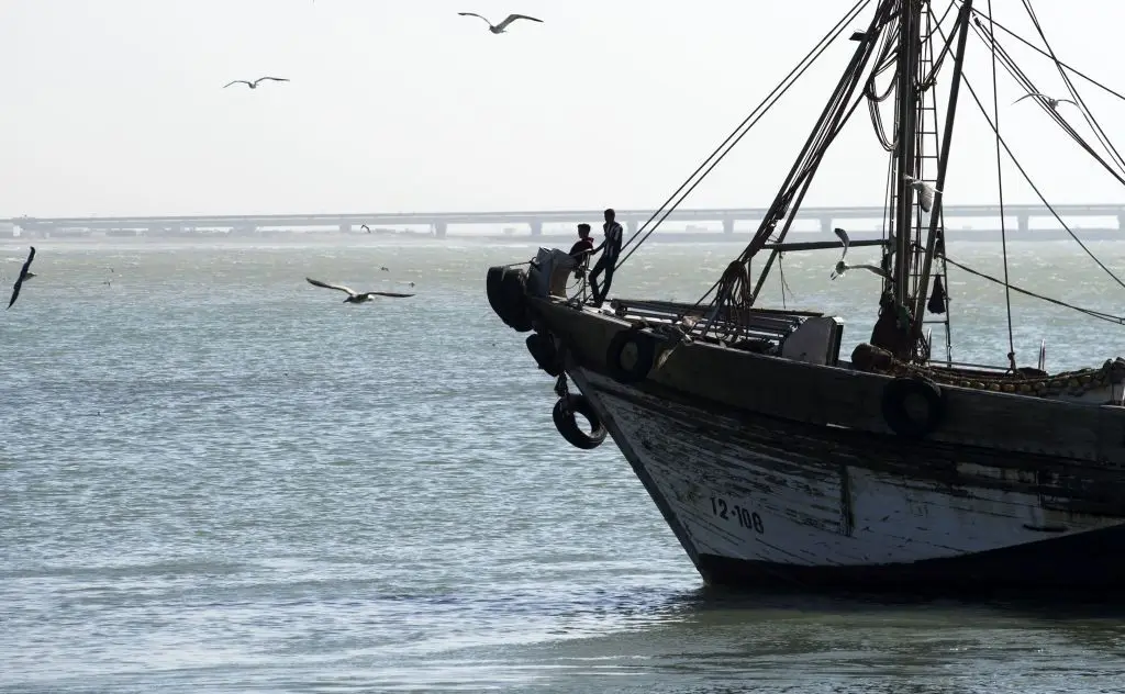 "Se a economia do Oceano fosse um país, seria o 5ª maior do mundo", destaca a OCDE