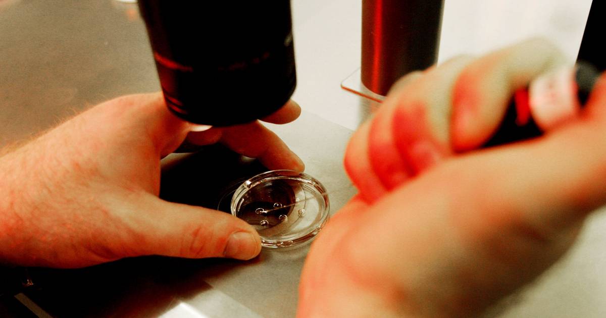 Cientistas criam “modelo completo” de embrião humano sem espermatozoide nem óvulo