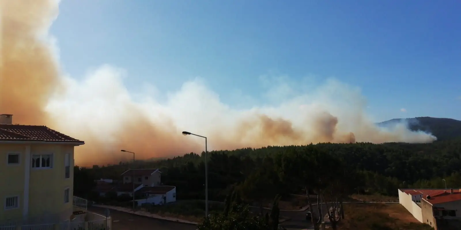 Incêndios: retirados cerca de 880 animais de associação e canil em Cascais