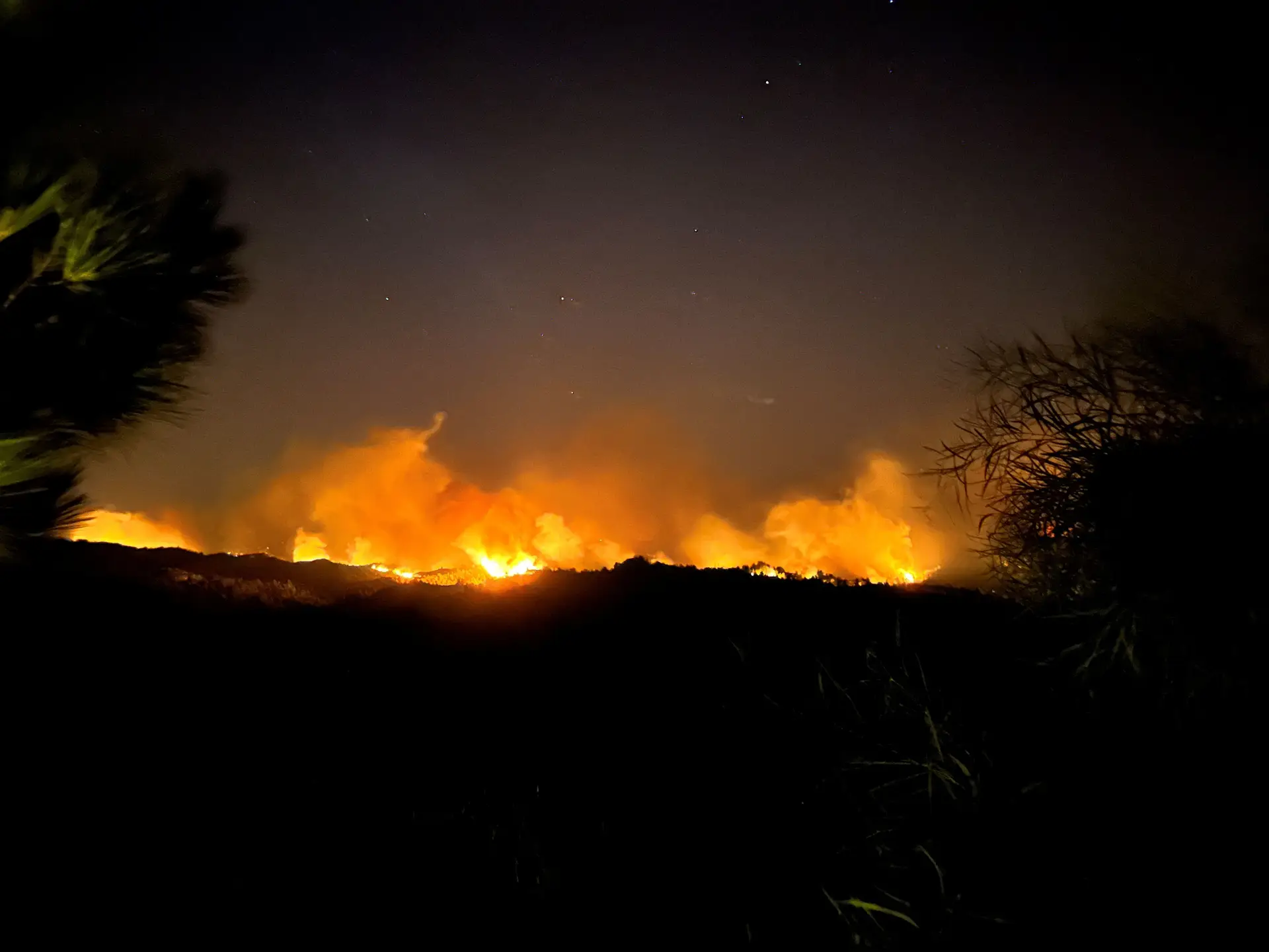 Marcelo transmite à Presidente grega solidariedade e condolências pelos incêndios