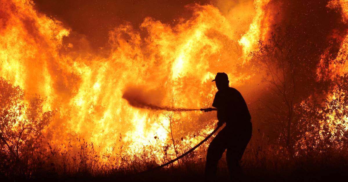 Mais de 500 bombeiros combatem incêndio em Castelo Branco dificultado pelo vento