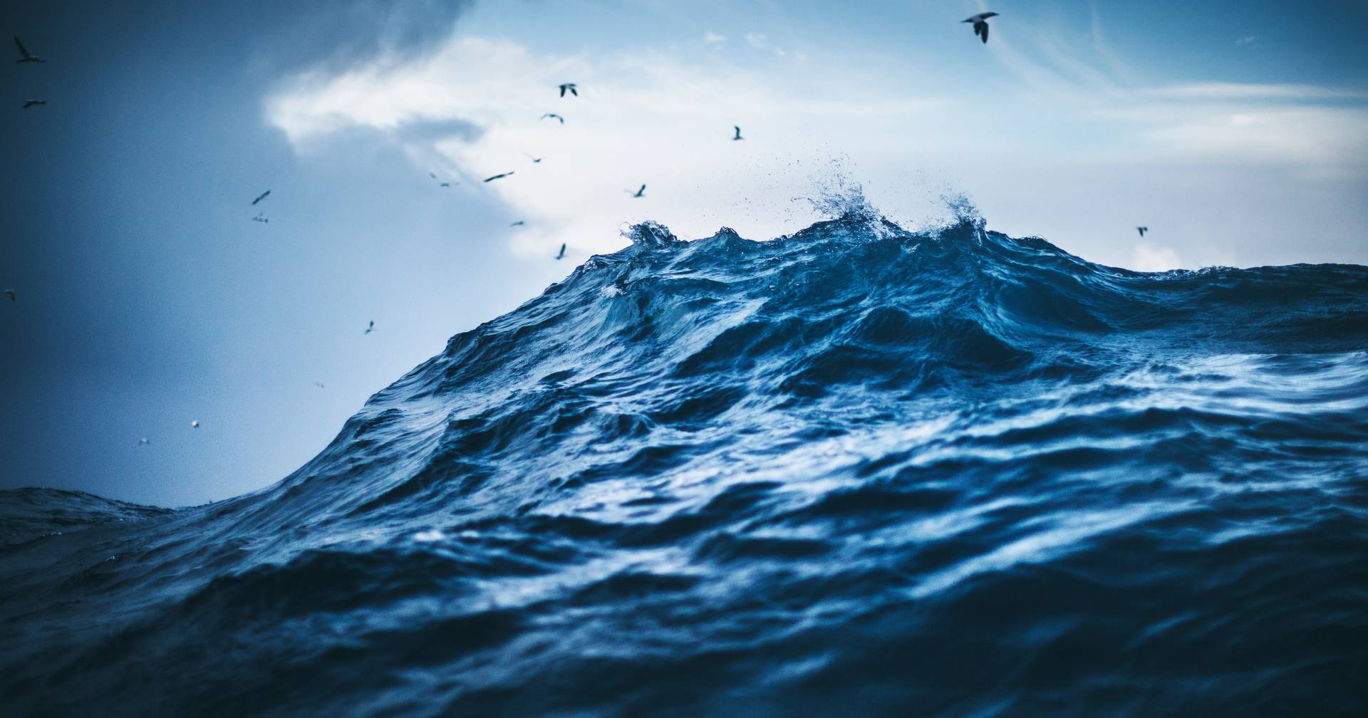 Das Atlantikstromsystem zeigt Anzeichen eines „Zusammenbruchs“: Die Folgen für das Klima könnten „schwerwiegend“ sein