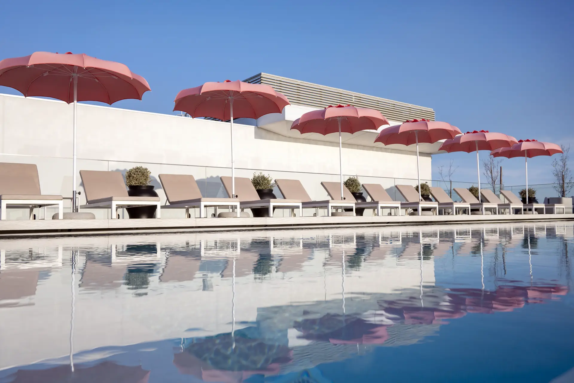 Petiscos e cocktails agitam fins de tarde no rooftop deste novo hotel no Porto