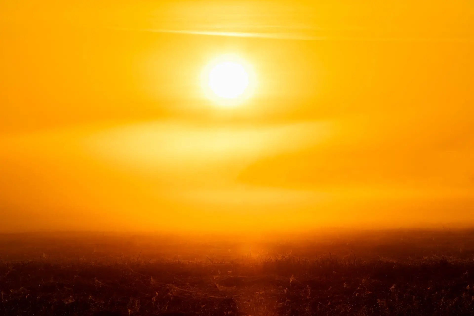 Alertas por causa do calor na Madeira e em nove distritos do continente