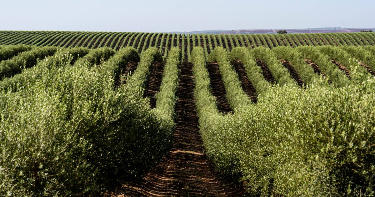 Quanto pode custar a Espanha um corte comercial com os EUA?