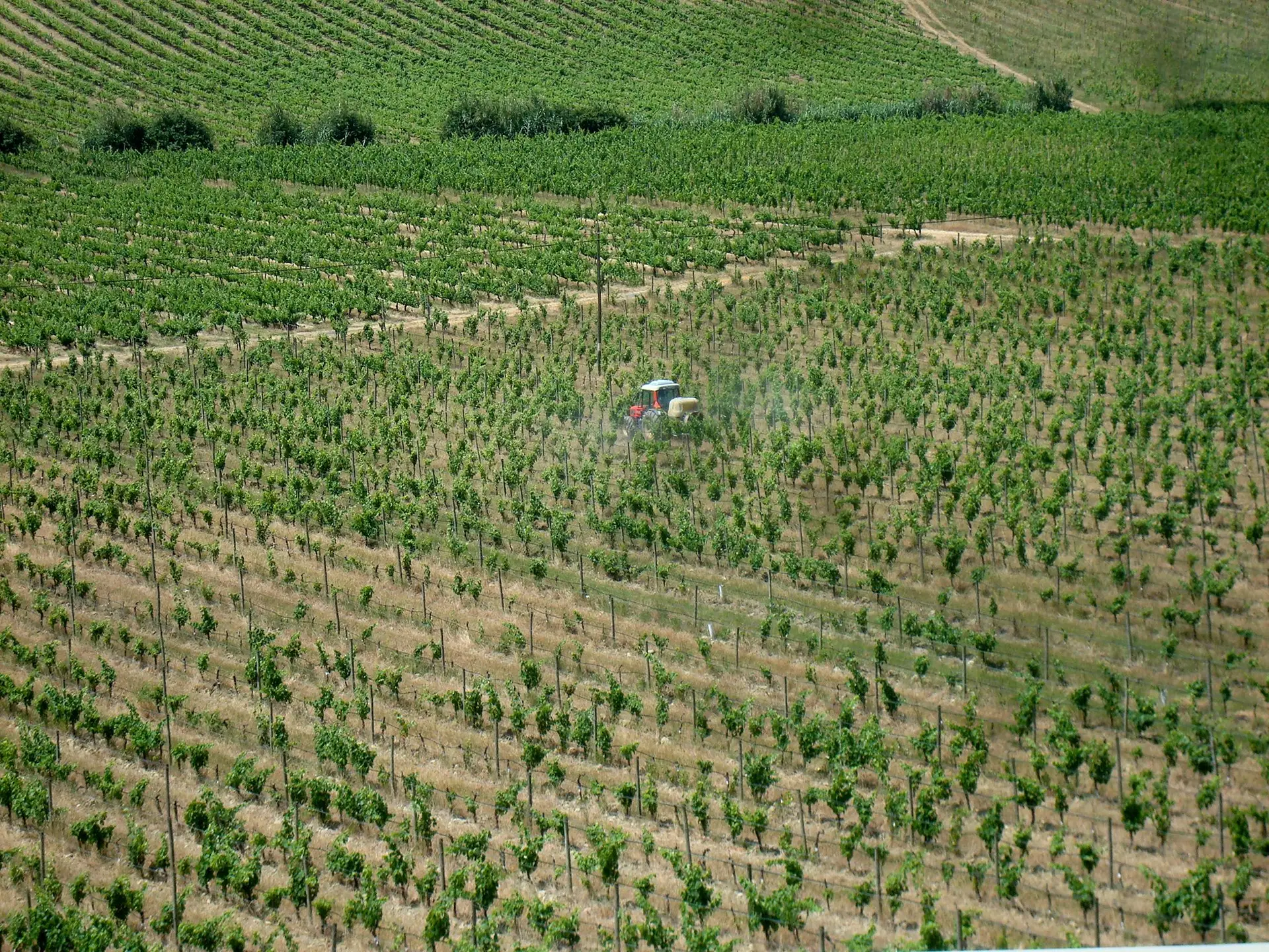A procura de solos agrícolas continua a impulsionar os preços, sobretudo em áreas  de regadio, e os mesmos duplicaram em muitas localizações