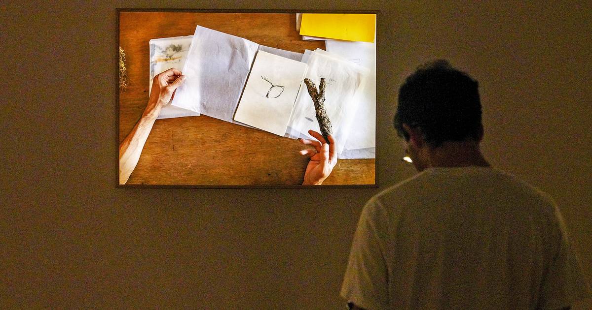 Exposições: “Breu”, de Daniel Moreira e Rita Castro Neves, é um pacto de escuridão