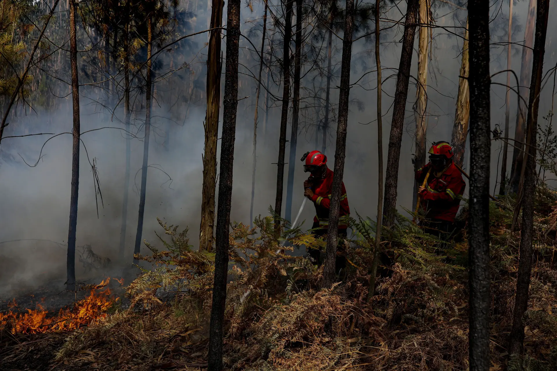 Localidade de Óbidos evacuada devido a incêndio em Ourém