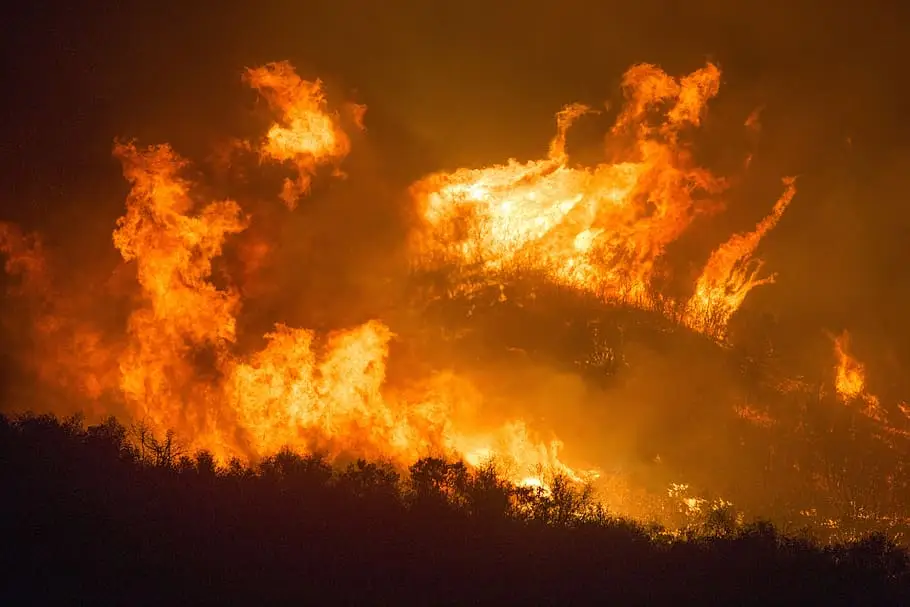 Perigo de incêndio máximo continua em 12 concelhos de cinco distritos, mas a partir de sexta-feira há chuva e descida da temperatura