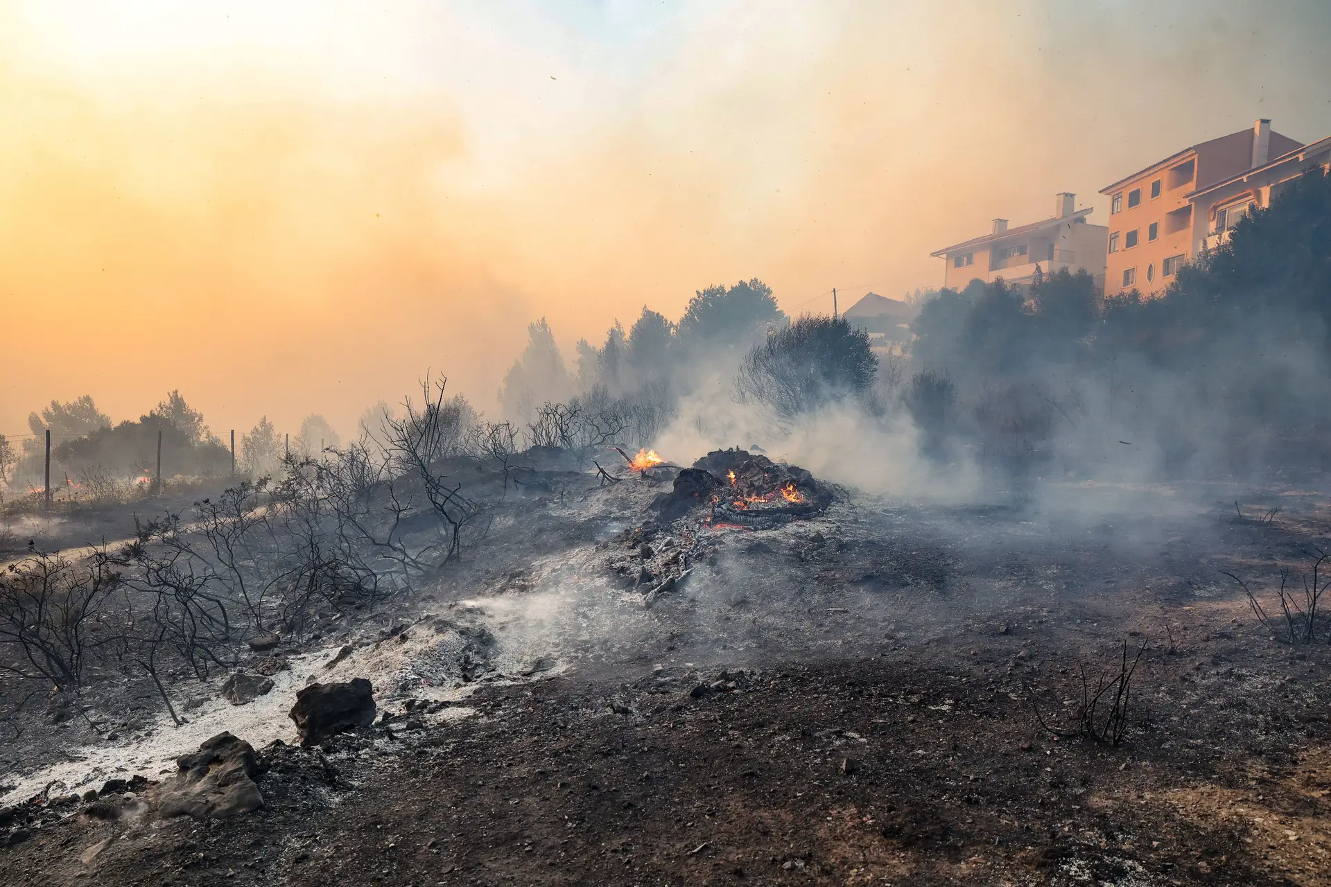 Vinte E Quatro Concelhos De Cinco Distritos Em Perigo Máximo De Incêndio Expresso 8328