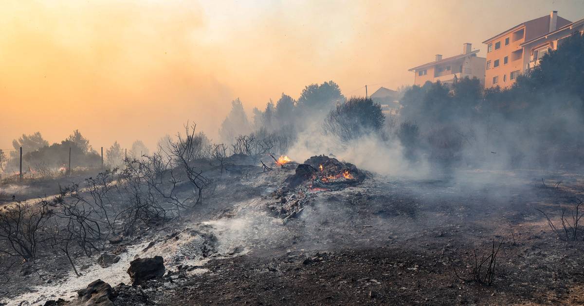 Portugal cumpriu apenas metade da meta de fogo controlado nos últimos cinco anos