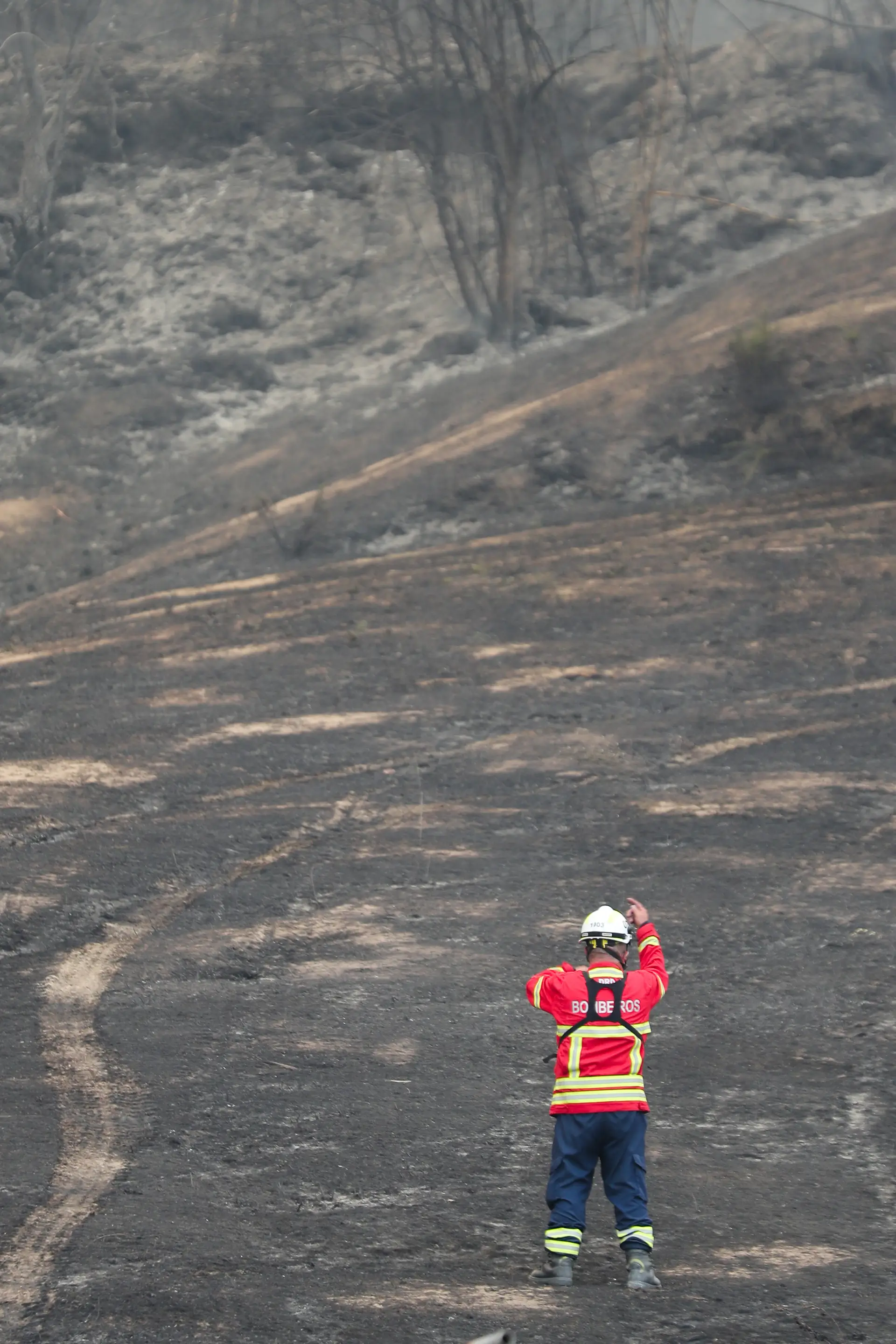 Câmara de Leiria diz que fogos "não são obra do acaso" e pede à população que colabore com as autoridades
