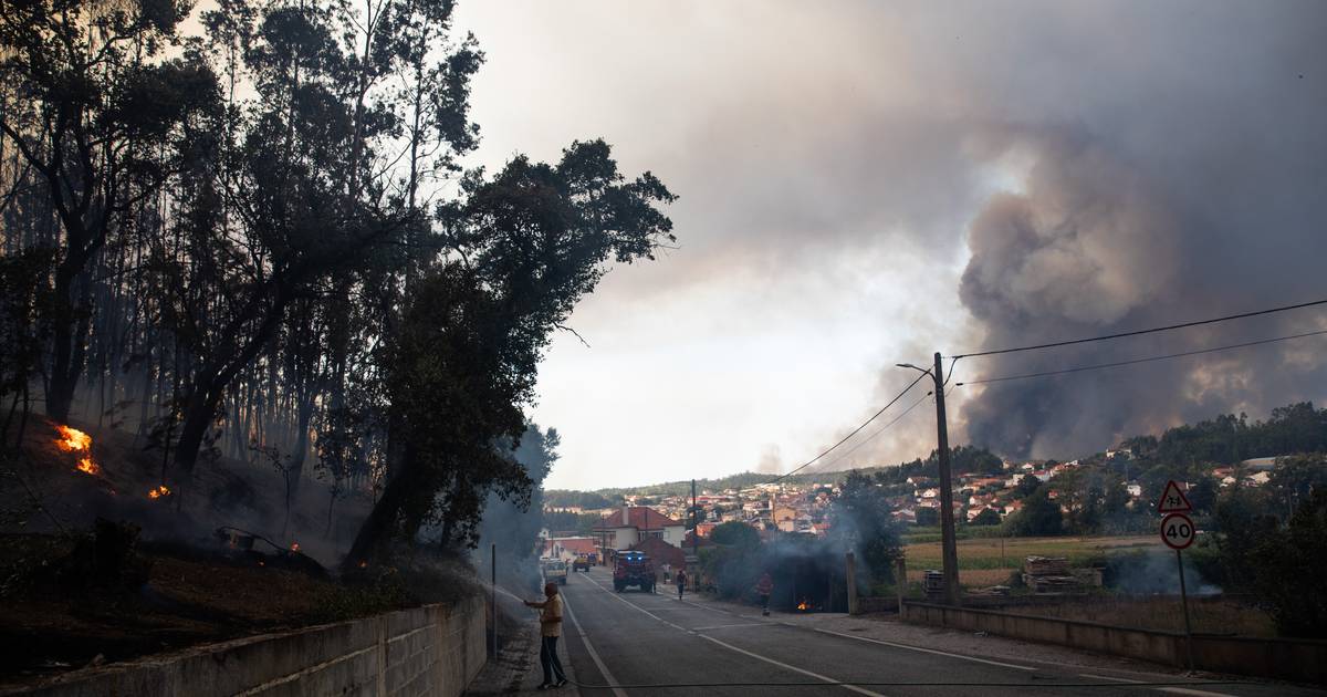 Autarca de Leiria diz haver 'criminoso' a provocar incêndios no concelho. 