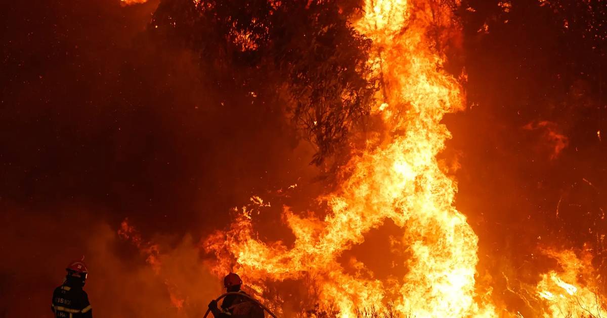 Incêndios: 20 concelhos do interior Norte e Centro e Algarve sob perigo máximo