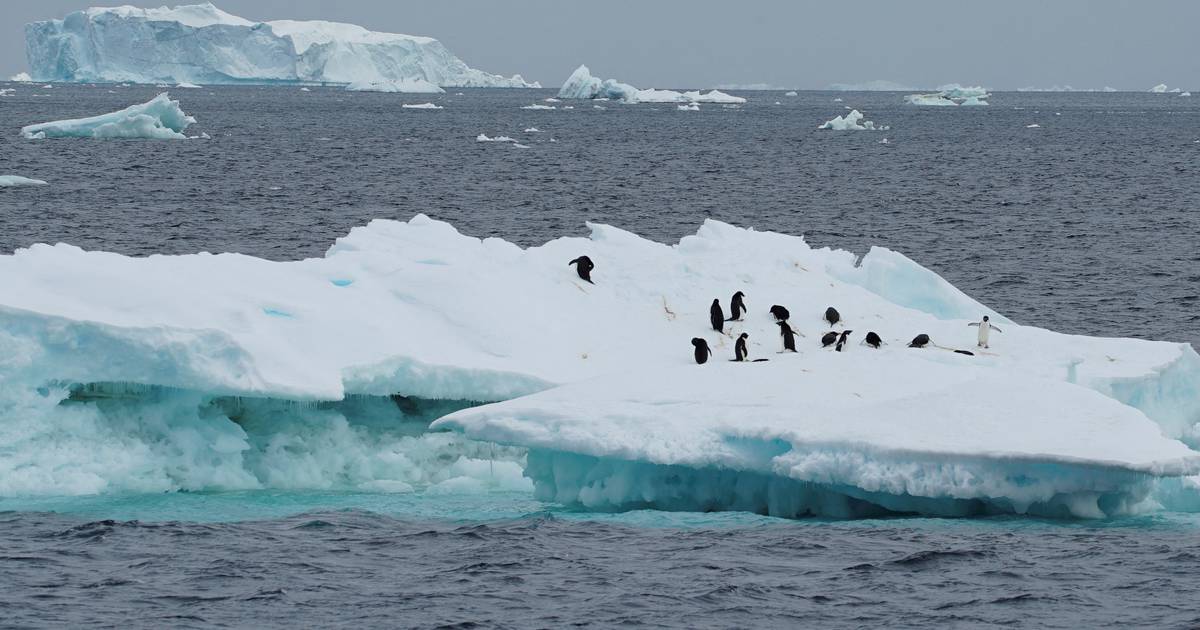 Aquecimento global e ‘El Niño’: degelo histórico na Antártida e recorde de temperaturas na Argentina e no Chile alarmam cientistas