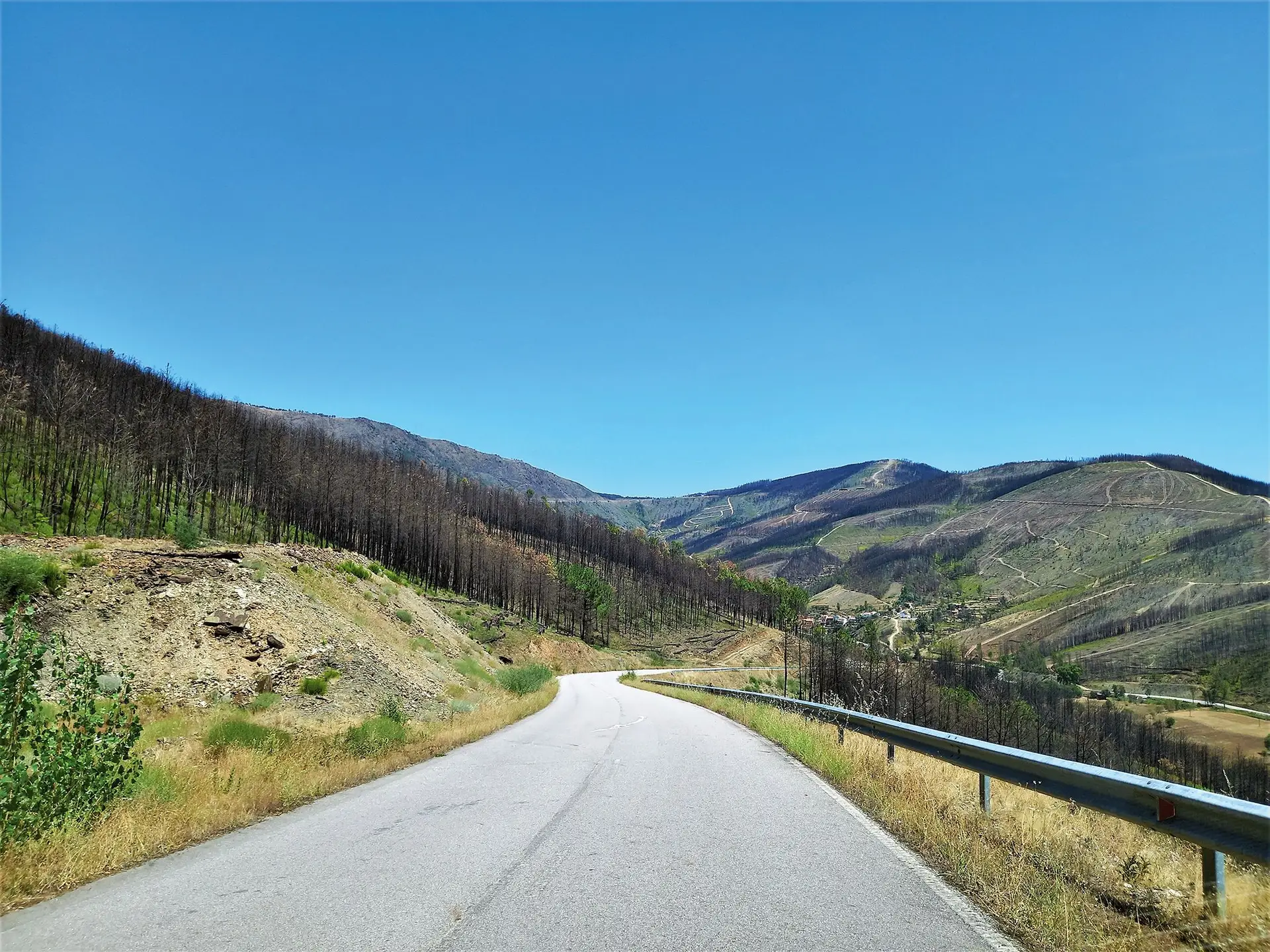 Serra da Estrela: um dia numa aldeia que vive da floresta depois do incêndio ter queimado tudo há um ano
