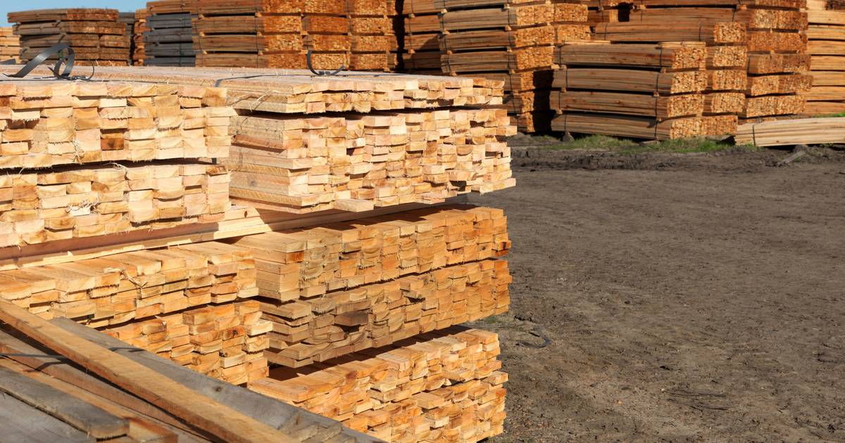 Apesar dos incêndios negócio da madeira de pinho cresce 22% em 2022