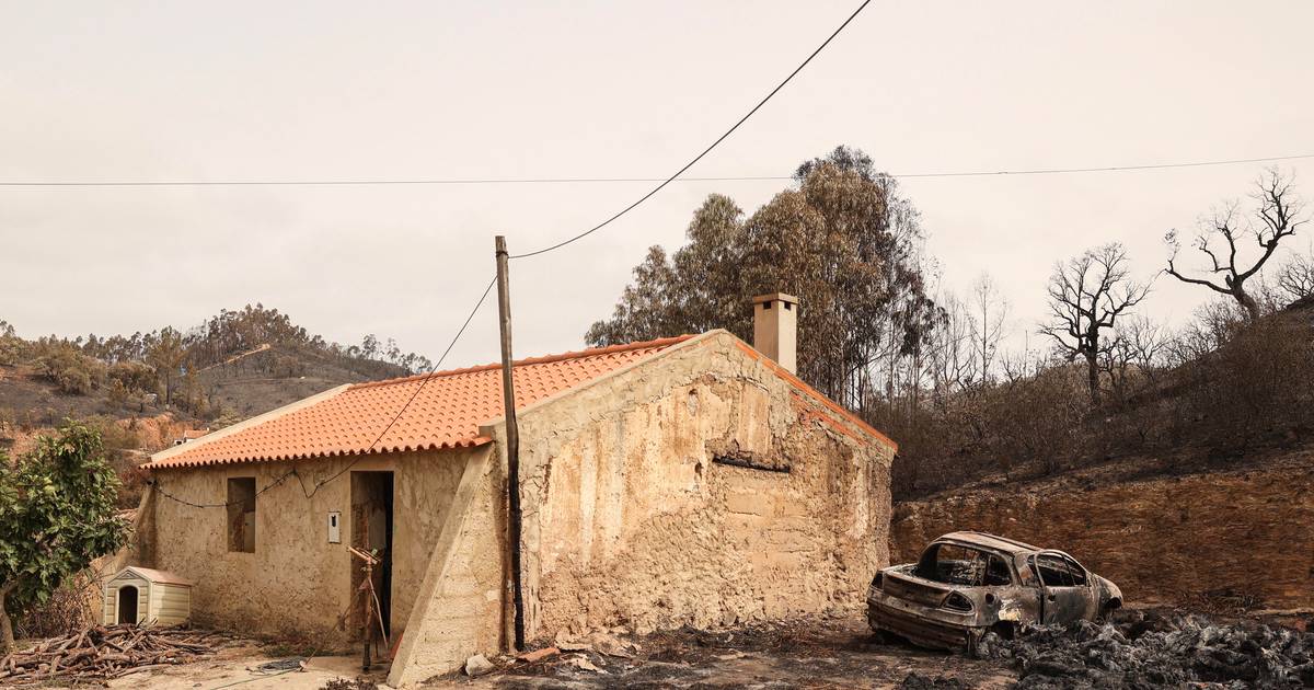 Incêndios: fogo de Odemira ainda mobiliza quase 1000 operacionais no terreno