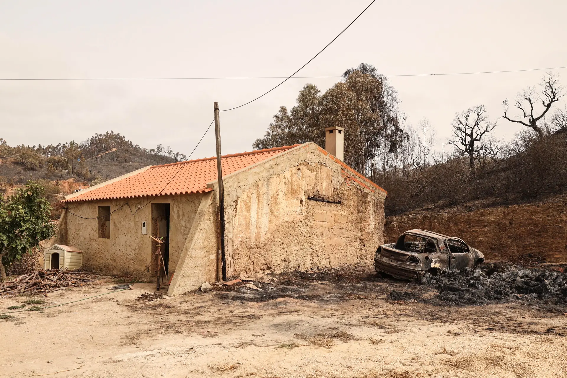Incêndios: fogo de Odemira ainda mobiliza quase 1000 operacionais no terreno
