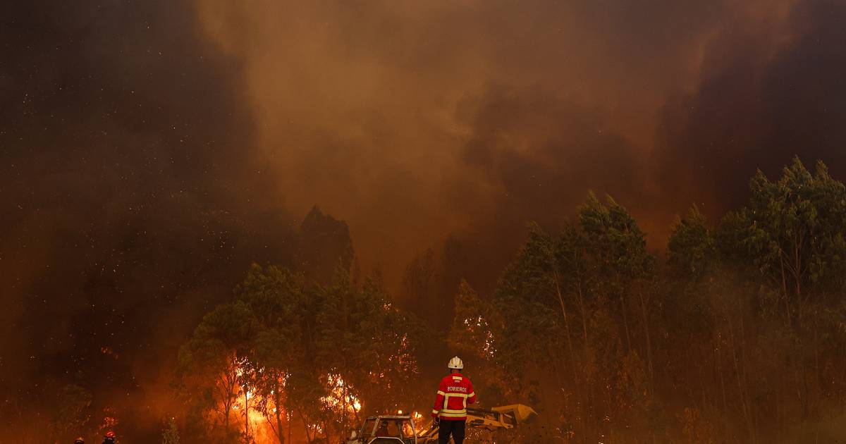 Mais de 300 operacionais combatem incêndio em zona de mato e floresta em Monchique