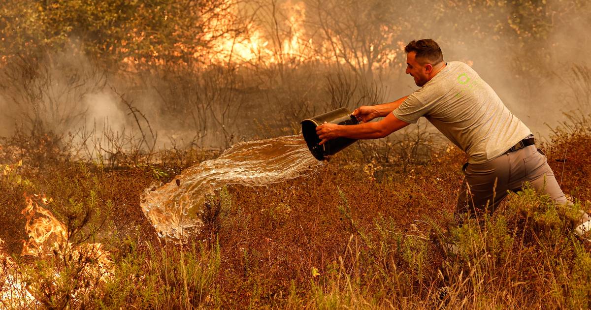 Incêndio em Odemira: associação estima entre 200 a 300 hectares de área explorada de medronho ardida