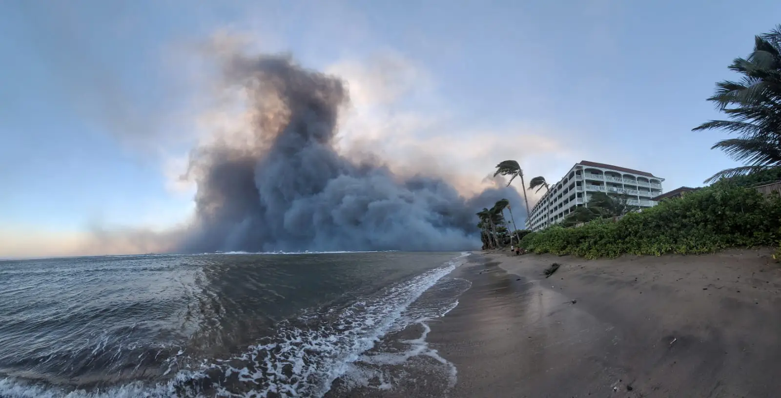 Condado de ilha devastada no Havaí processa empresa pelo incêndio