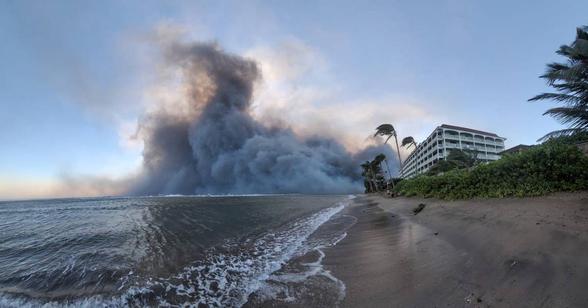 O desastre mais mortífero: sobe para 80 o número de mortes nos fogos do Havai