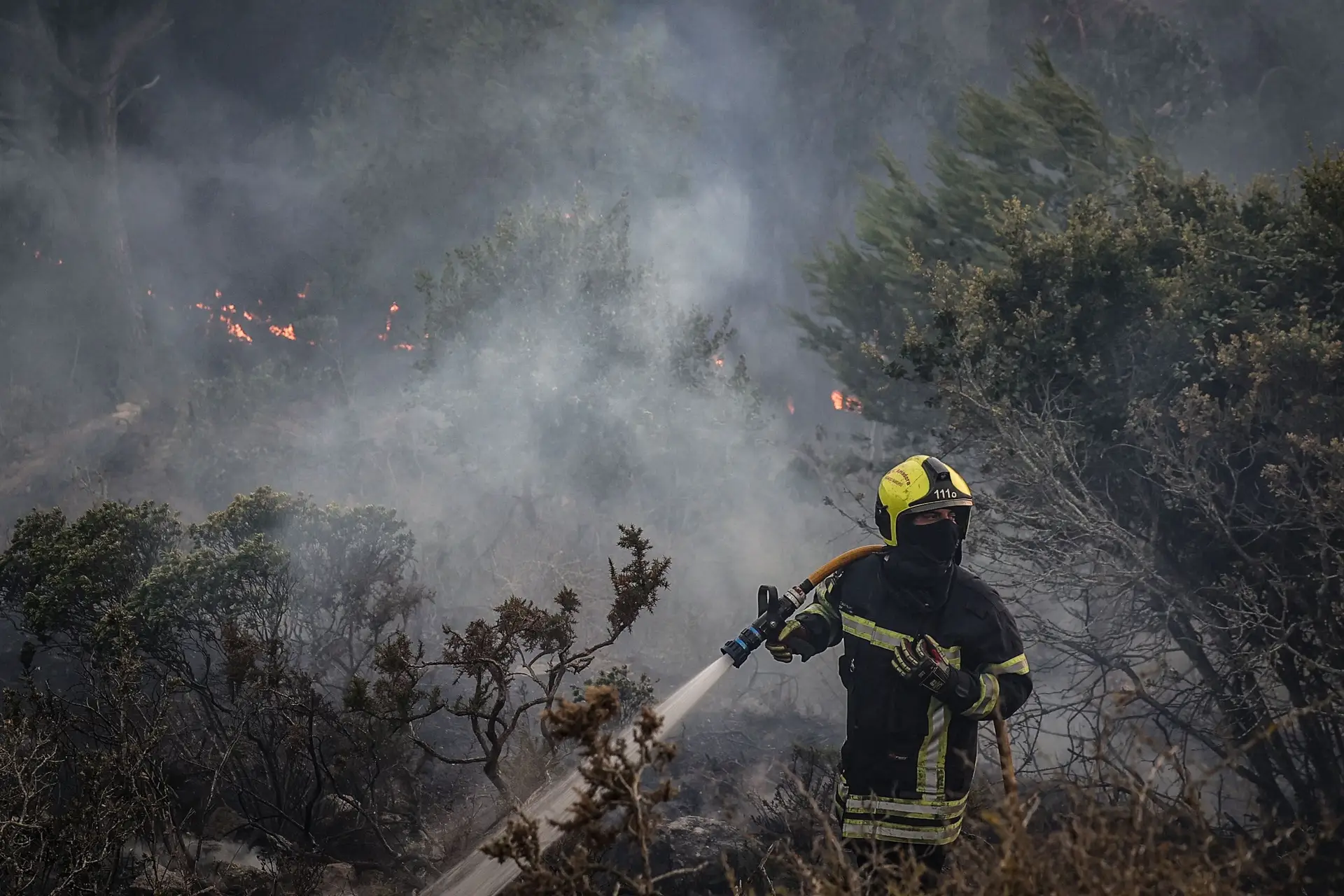 Dezassete concelhos de cinco distritos em perigo máximo de incêndio