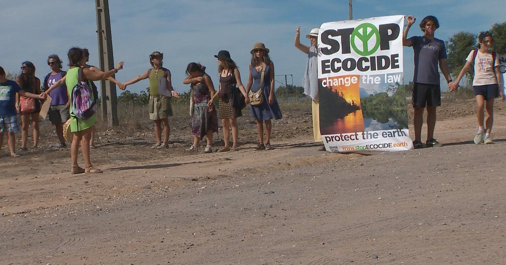 Marcha pelos sobreiros em Sines: ambientalistas repudiam projeto eólico ...