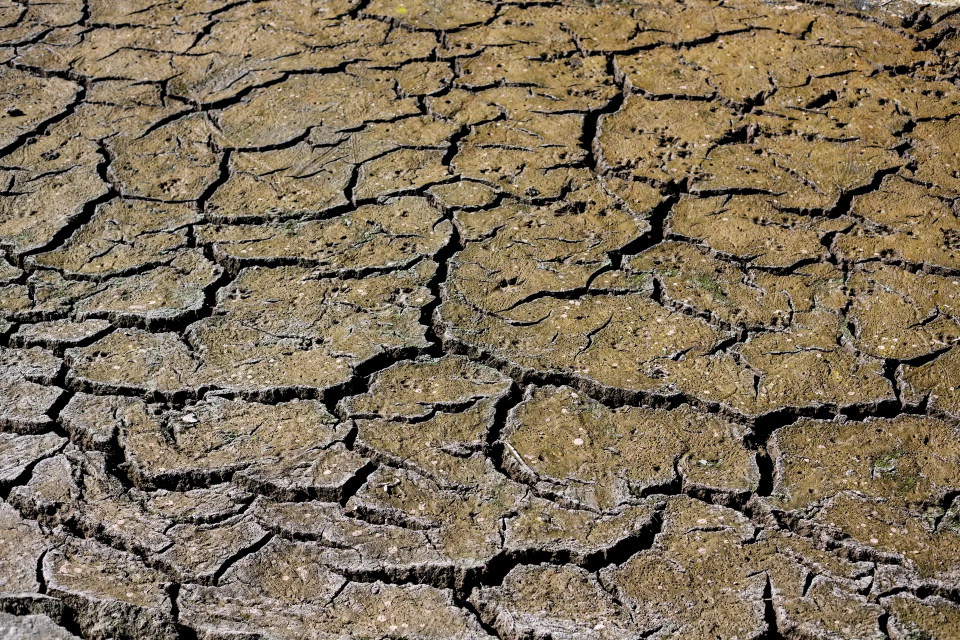 Com quase metade do território em seca severa ou extrema, Governo promete mais fiscalização nas captações de água