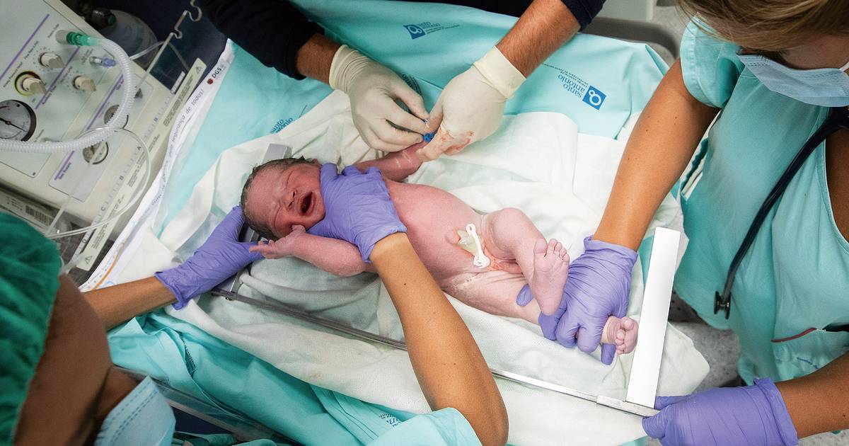 Bebé nasce quatro anos depois da morte do pai: esta foi a odisseia de Ângela para legalizar a lei da inseminação pós-morte