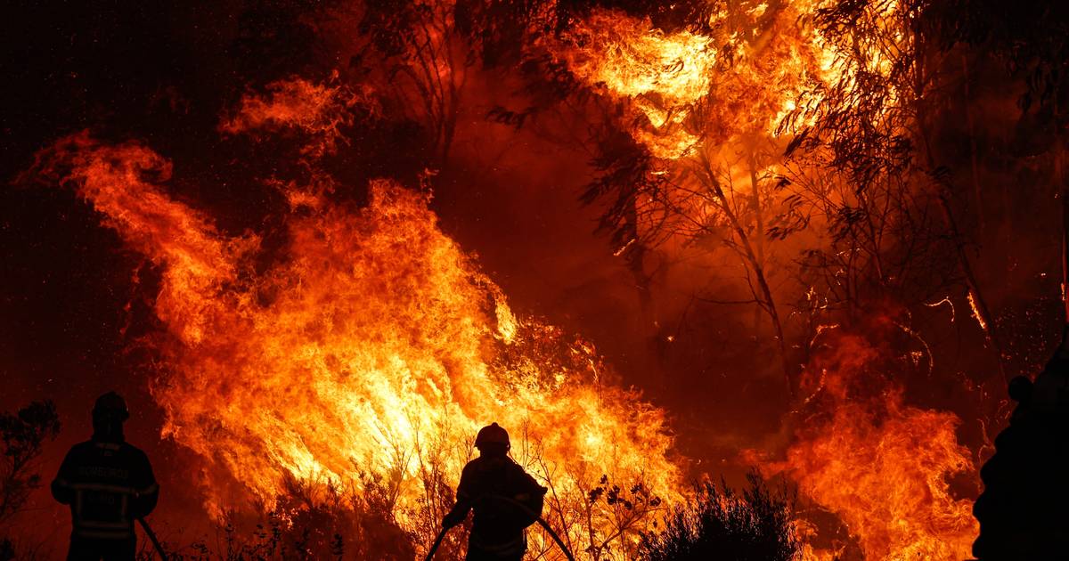 Quase metade dos incêndios florestais deste ano tiveram origem em queimadas