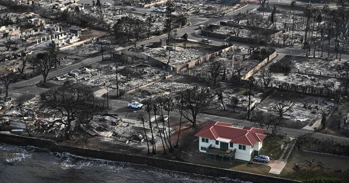 Imagem de uma casa intacta no meio da devastação dos incêndios no Maui causa estranheza: o que a manteve em pé?