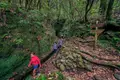 Levados até ao coração da Madeira