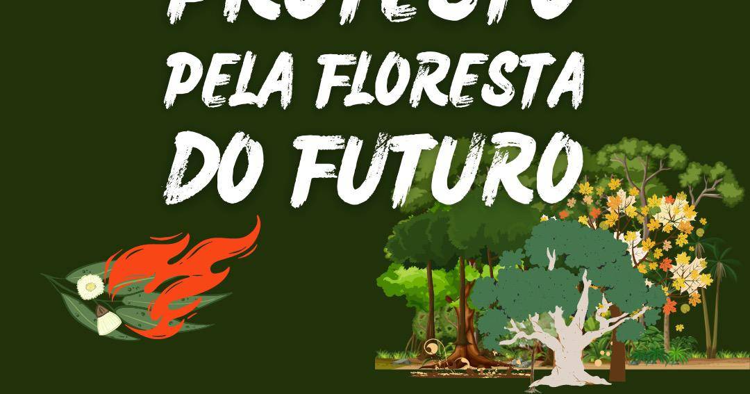 Sete cidades e vilas em protesto “pela floresta do futuro” e por um país “deseucaliptizado”