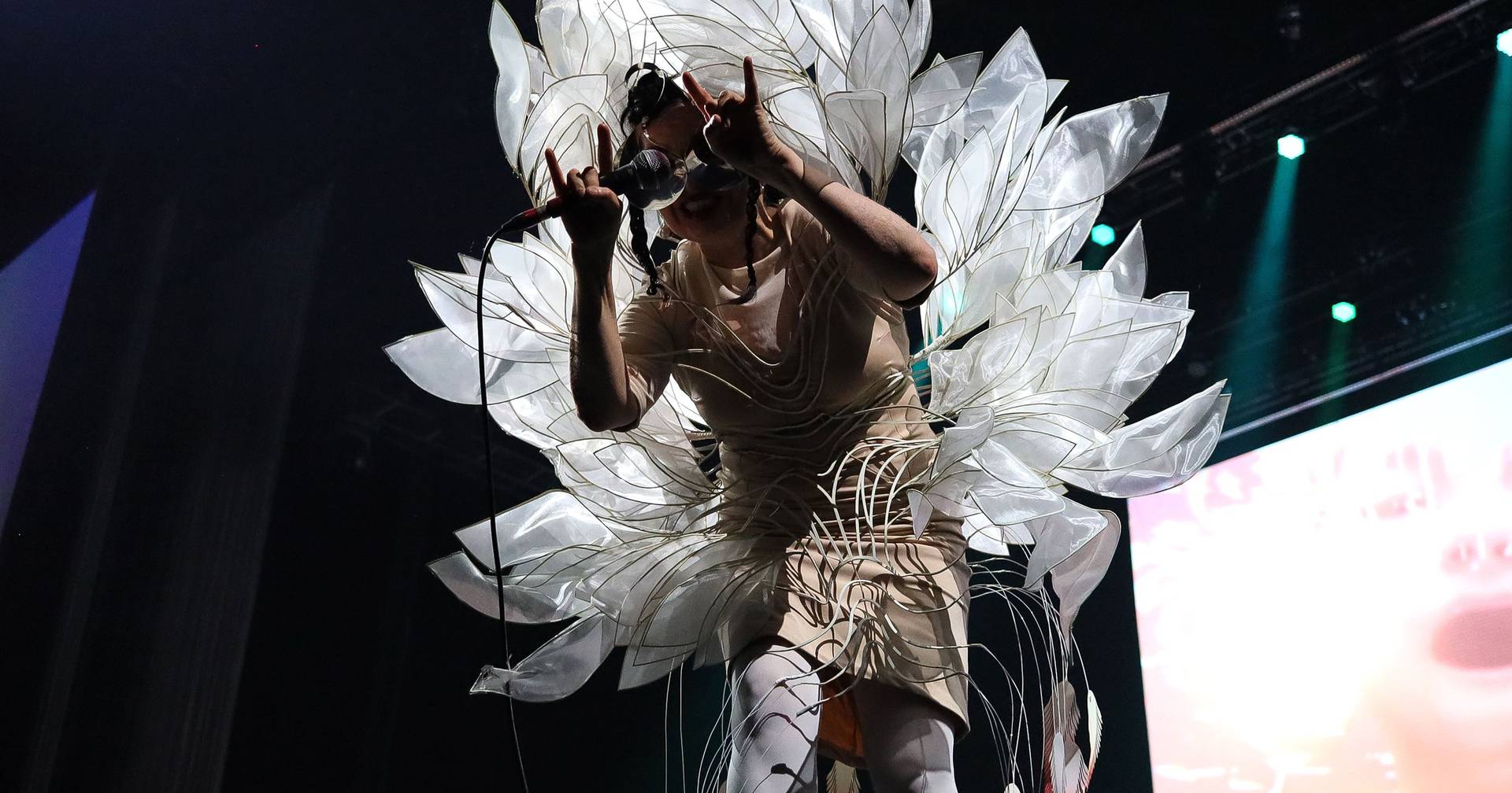 Instalação artística de Björk em Paris recriará os sons de animais extintos
 #ÚltimasNotícias #Portugal