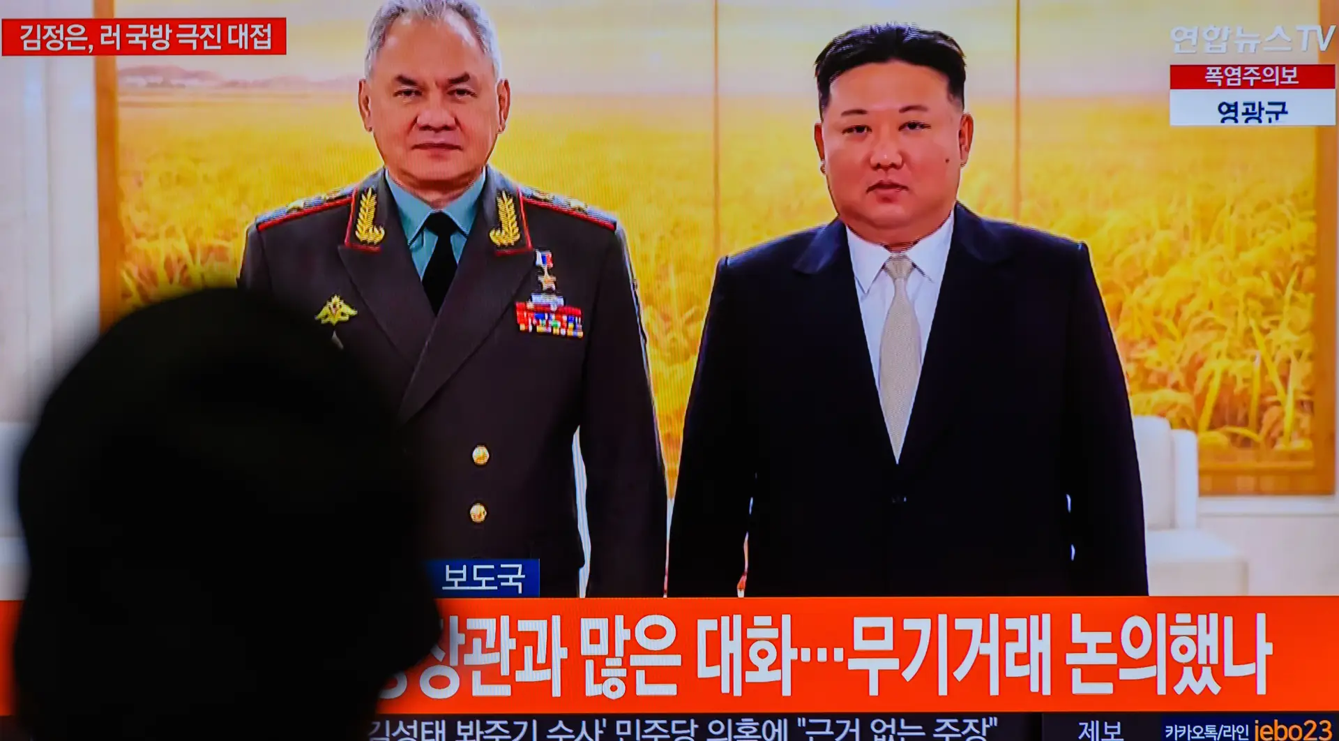 Sergei Shoigu e Kim Jong Un