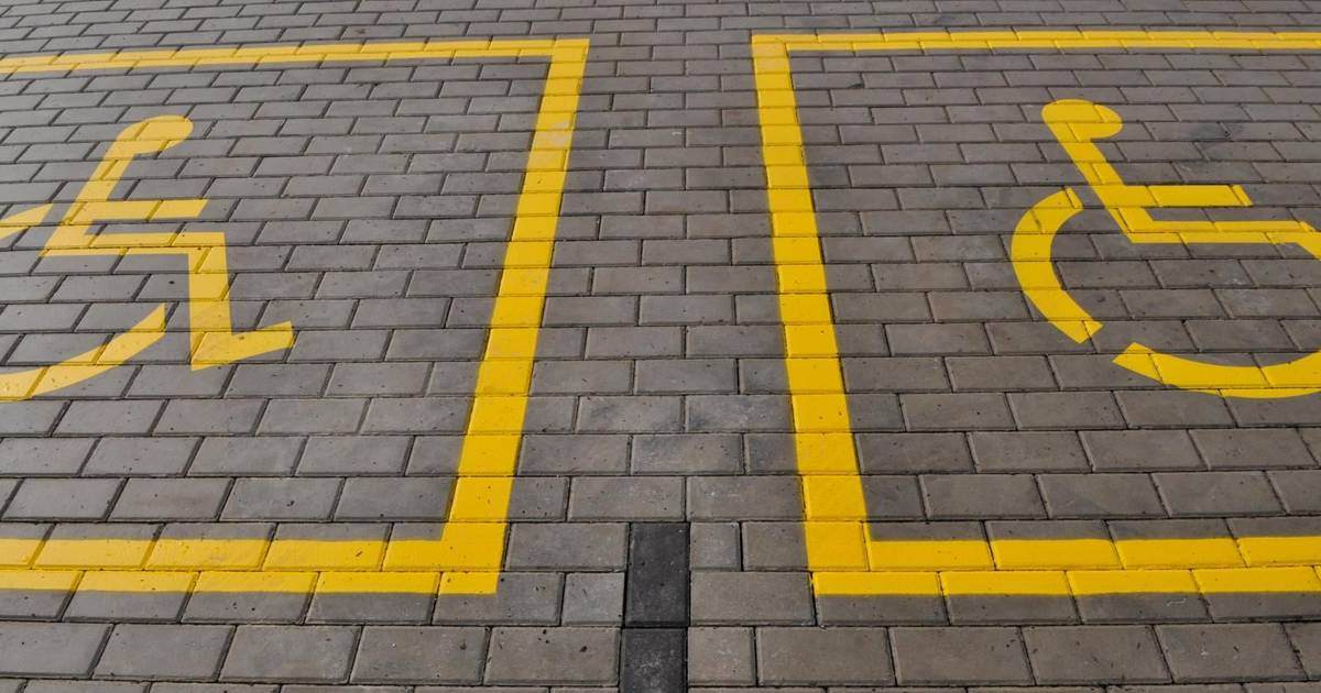 Famílias cuidadoras pedem subsídio a 100% para assistência a pessoas com deficiência