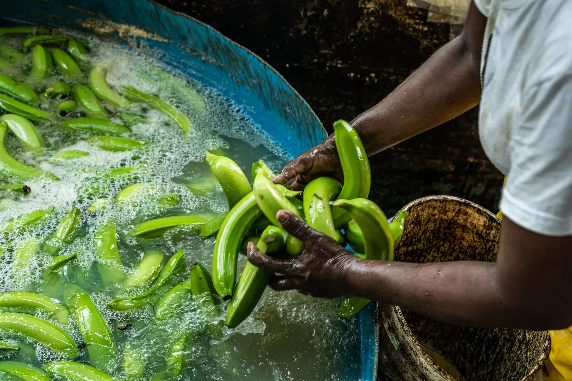 Traficantes têm novo esquema: compram bananais para esconder a cocaína na fruta (e 10 toneladas podiam ter chegado a Lisboa)