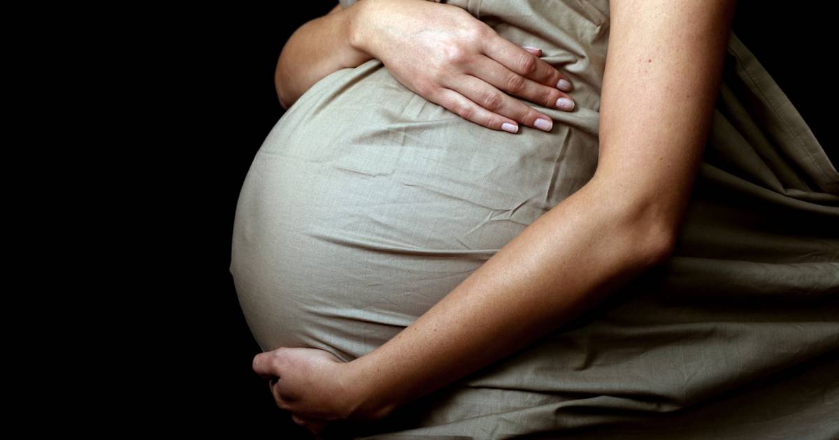 SNS: menos de 1% das grávidas foram encaminhadas para o privado