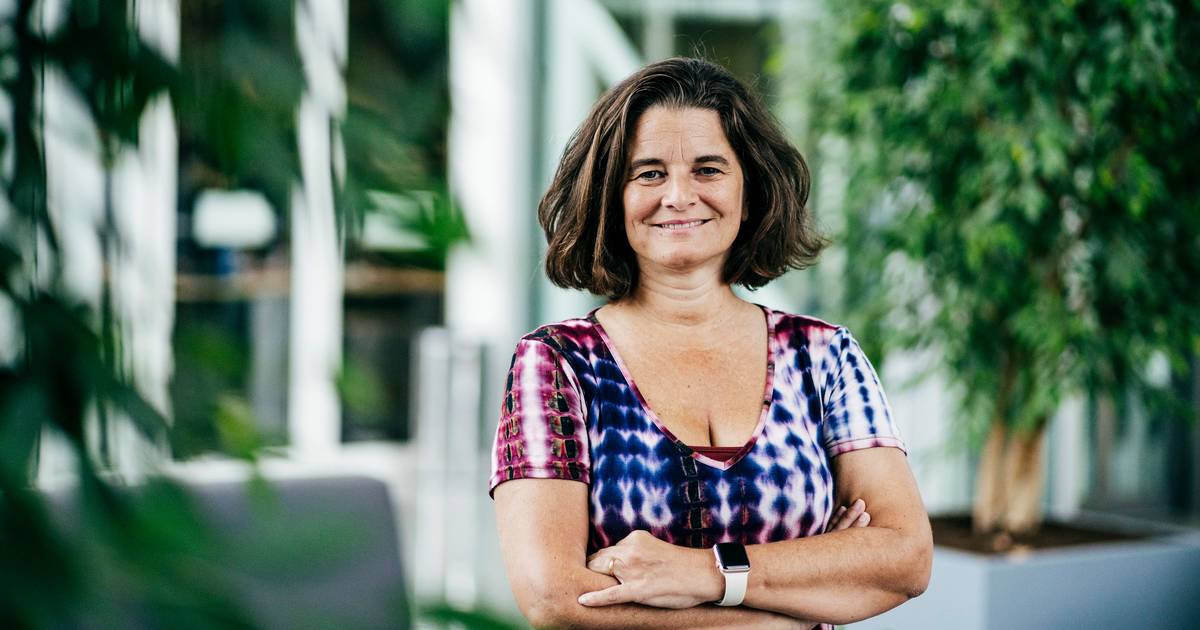 Há bactérias em risco de extinção. “Queremos metê-las num bunker para ressuscitá-las no futuro”, diz cientista Karina Xavier