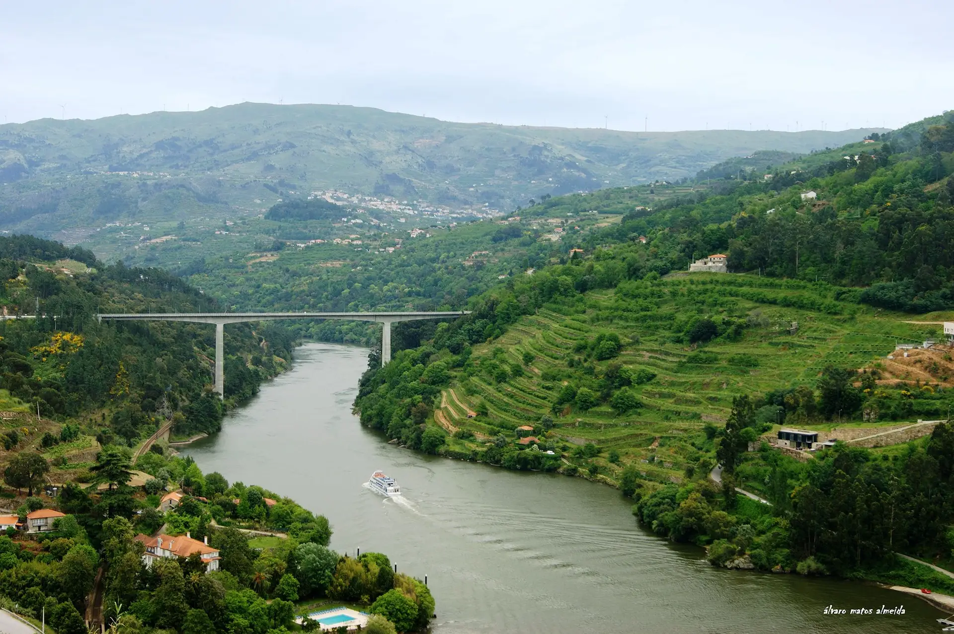 Douro Leilões