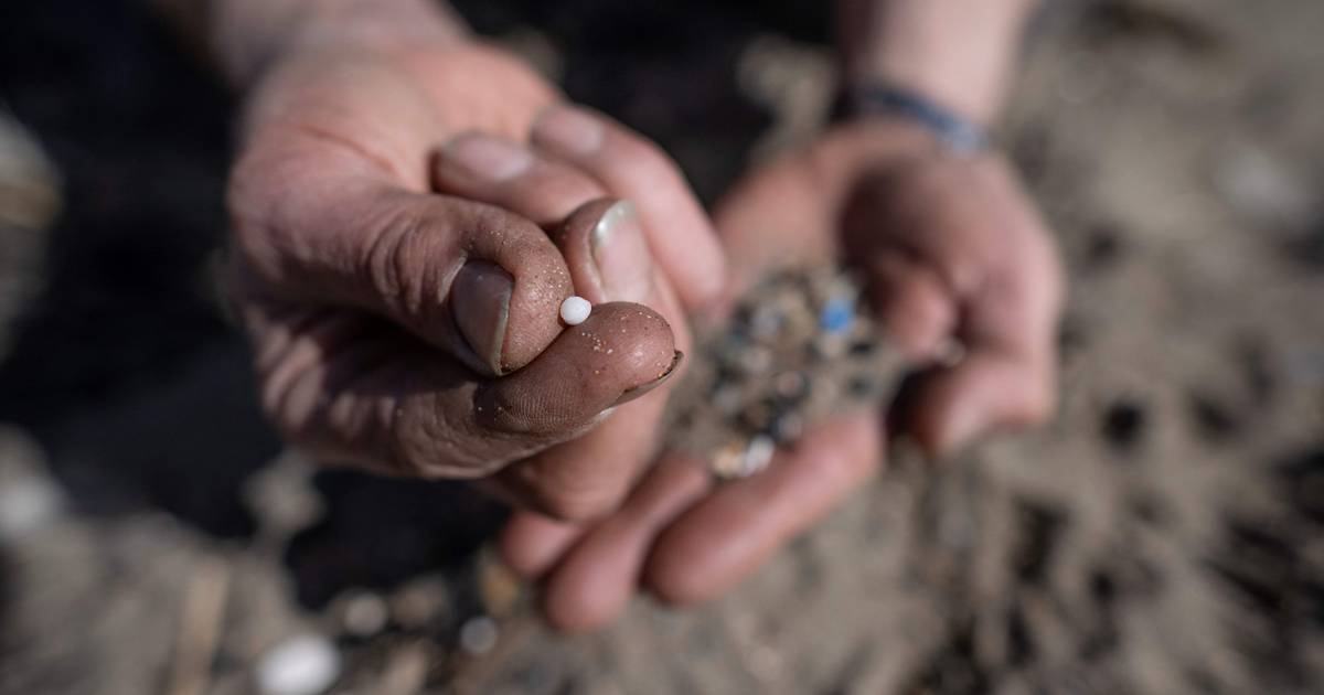 Pellets: ativistas pedem regras para microplásticos do tamanho de “lentilhas” que são autênticas “pastilhas envenenadas”